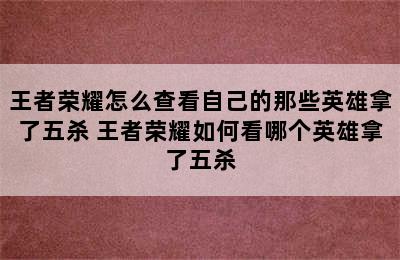 王者荣耀怎么查看自己的那些英雄拿了五杀 王者荣耀如何看哪个英雄拿了五杀